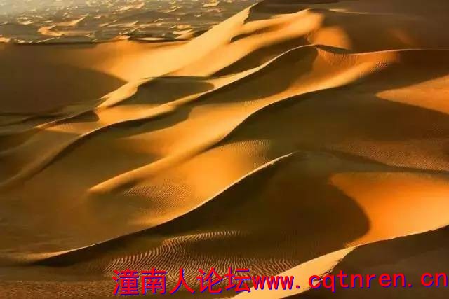 5c717afd9b8eacd50372580eafa1cf6e.jpg