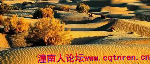 a7640cefda183b17e76cc3d80e7b47be.jpg