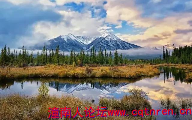 ce2b7bc2c78964a8de3ed985c8421287.jpg