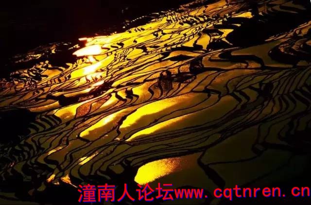 4d03270b49e108f48e0ee54c6e64b7b9.jpg
