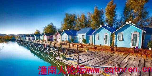0aad029c85be647695217b23424bee83.jpg