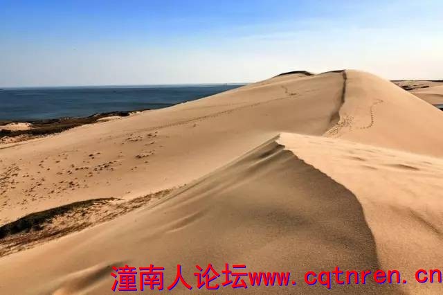 4cb55ad08d129d747a87a21fba84b439.jpg