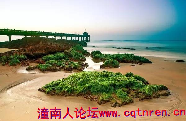 5b30da54fa6fd0c9313d3816cc1af630.jpg