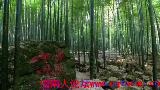 fd078a310d7323ab5e9c889170da6e23.jpg