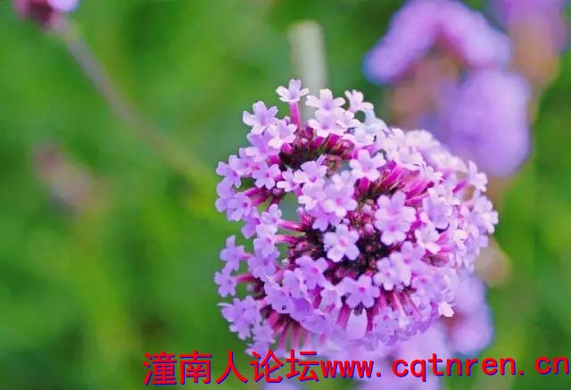 f07853794bb2064ae8f53132cddf7094.jpg