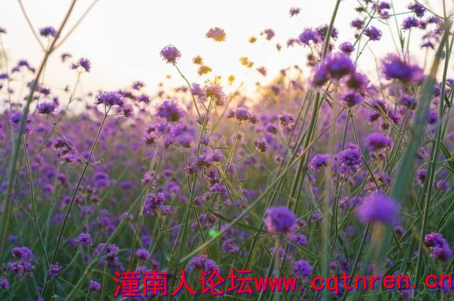 d4009ef3a53ec07777fe15efdffe21d5.jpg