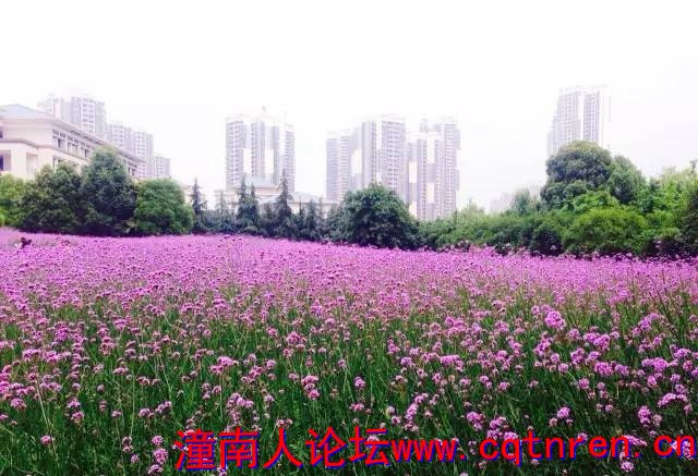 859f850d3946c7cbdf5146d5ddc3af33.jpg