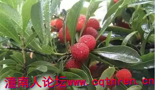 dd3714412682ce35c6a7a8f3a6f01227.jpg