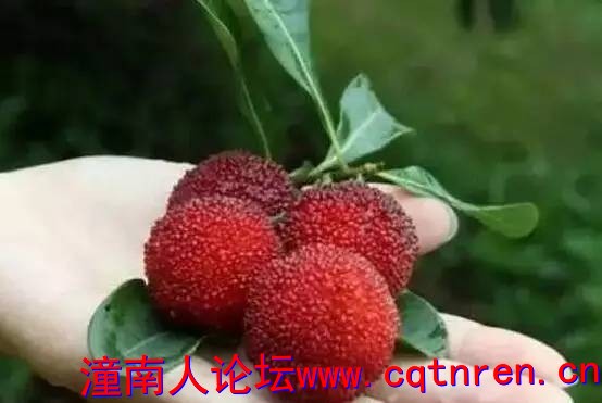 7e436146ebdb62de67d7371d20abd628.jpg