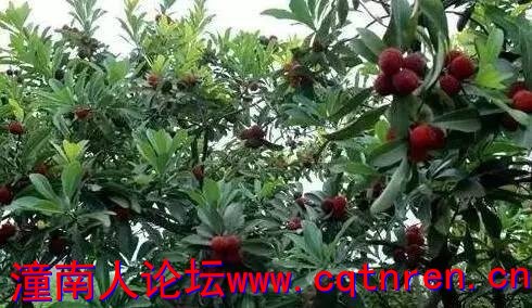 abf7e9191111b043110ef82dce2d5ceb.jpg