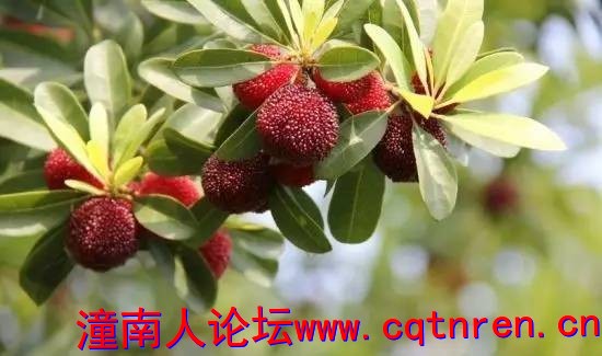 c8c619ae9b27bb3523742feab8486ac2.jpg