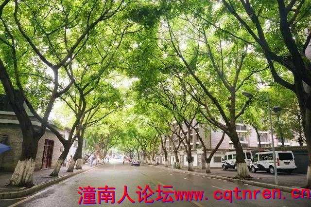 30ce4ff2307ff95daa693d044da9700f.jpg