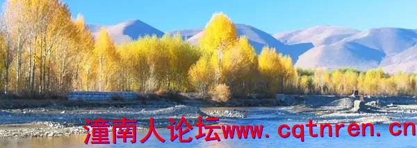 ba7b5d56d47b3912857c7ccc597d2b42.jpg