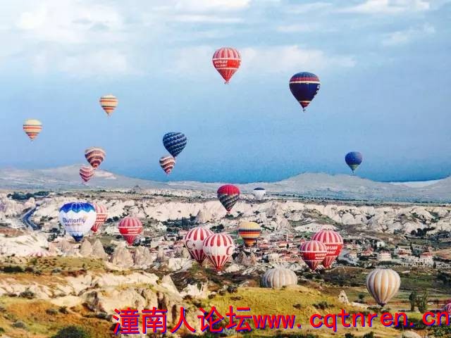 927952de47bea514dbc31f547f6bb9fe.jpg