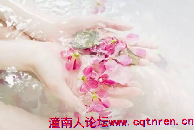 4cd4ce5bc28512b6896bc20ec531a2e9.jpg