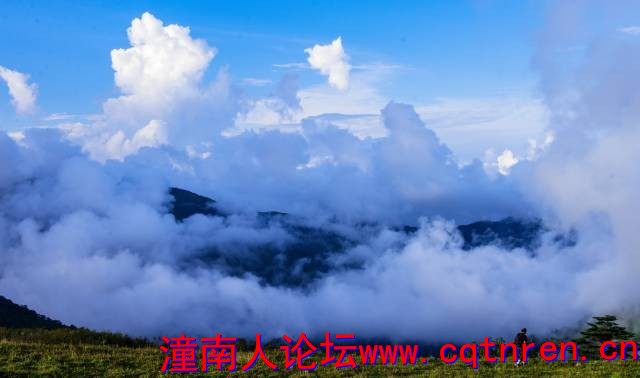 ce8484d668b0a3d09ee370d0b4f7ed77.jpg