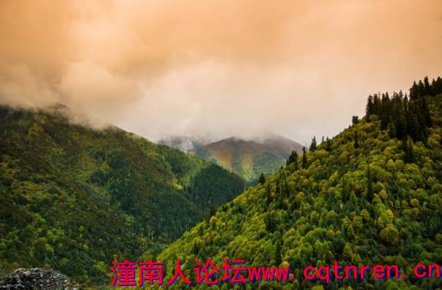 6cb6df6f93eb56c2e167d037aa8f5aff.jpg