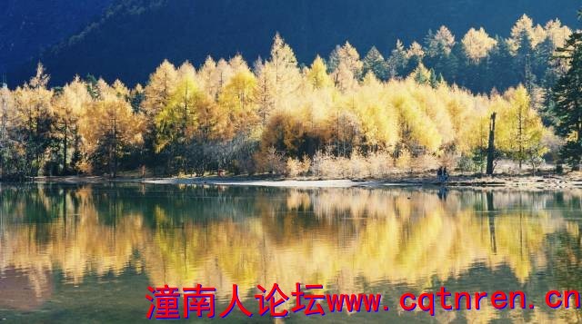 b768cfe8e43e9ea3538213b923b7dd55.jpg