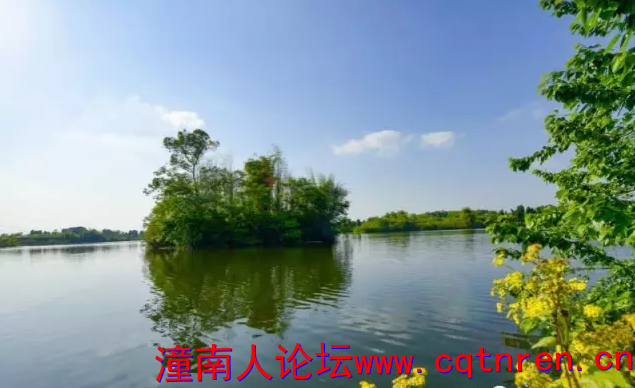 QQ截图20170705092905.png