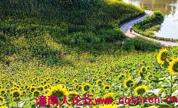 d88644f0d1d5b158e1caad411314b9c6.jpg
