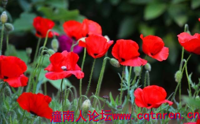 f4094f081300cd941790ef5d8d1c7bfc.jpg