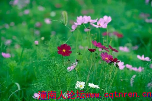 7e5d1a02789545ea03db30723017e85b.jpg
