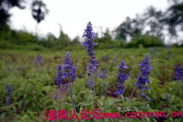 d3191cd3dfeeed623972950ed330b70f.jpg