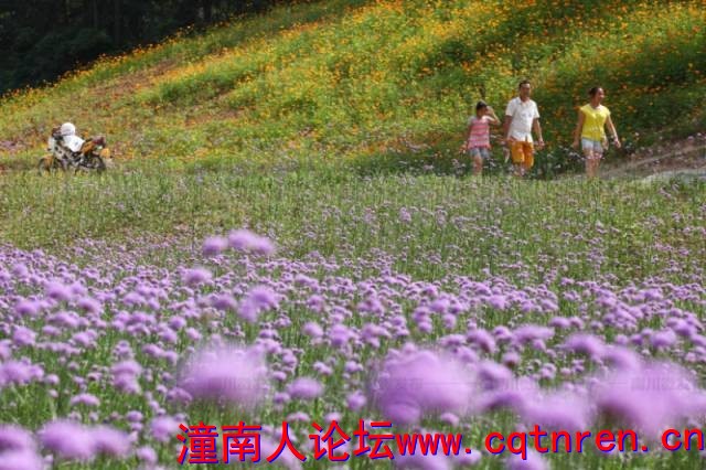 f7a5cf32ccca879360de99bcd906b0ab.jpg