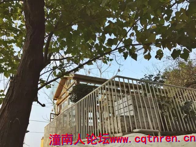 c0b8725e6cc6cbb313d822cb9e481ce5.jpg