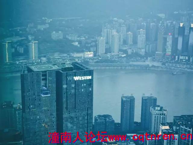 d995d7b59ca41ad02ebc2be36a4d11bd.jpg