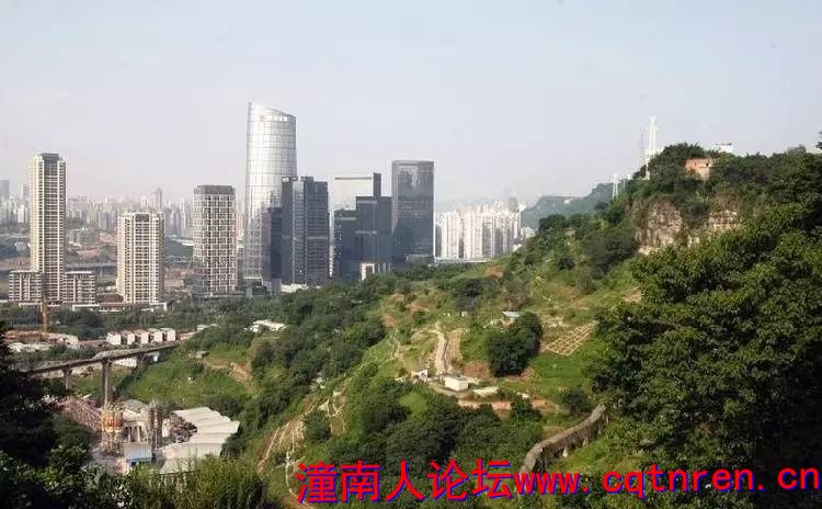 51c984caa2bdf1269ad03b4104898d95.jpg