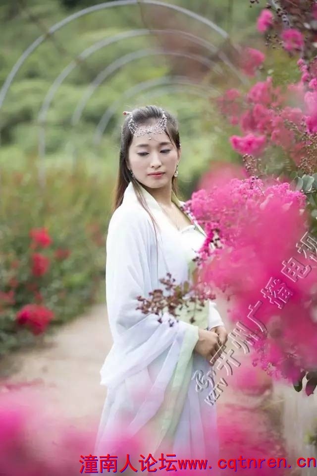 fe2acb23cccd189d2723dfde15ba21e1.jpg