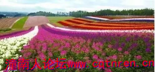 2e65b7f6c52d97b78a1f6ef46ab5676c.jpg