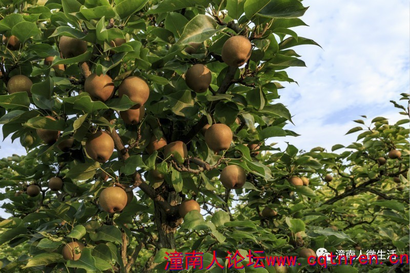 f511be2ea3972cc511a196aab6cfe808.jpg