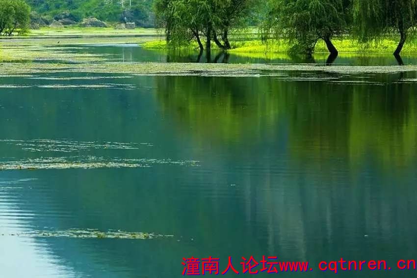 ef9077c7c659c65e847e019a9e93bfd8.jpg