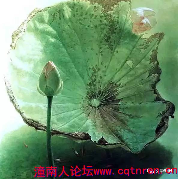 ae9789650d9112b6edcd44ed984936bc.jpg