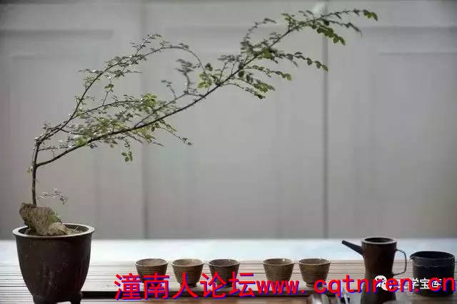 261fc9d33b5f8197c43c7b1026baf87b.jpg