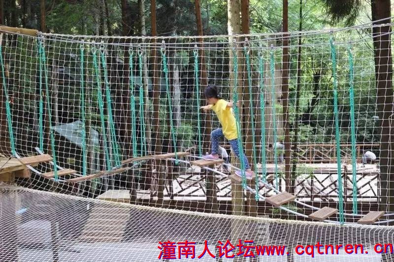 d073f35500a406cf8eca03c1228fdd17.jpg
