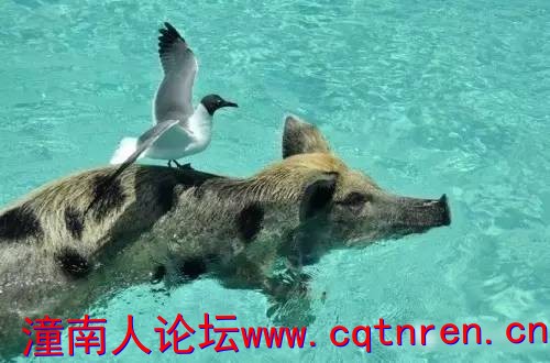 b3ed361f2395e74747cd6c3732dc77b0.jpg