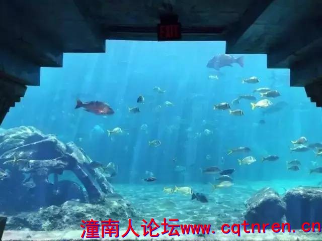 edc6576fadbbb845ada336ca762cfdf4.jpg