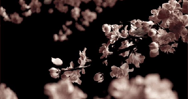 36be6d915e71480b73144ffa224b95fa.gif