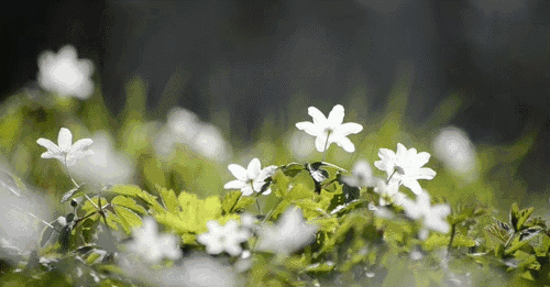 a14e61de4a1715eea300ad45ec8c4e10.gif