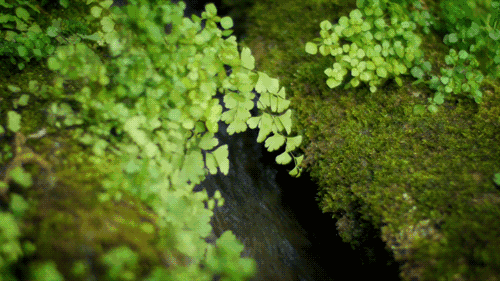 4e0cfbd7932540512ef664c6421e05d0.gif