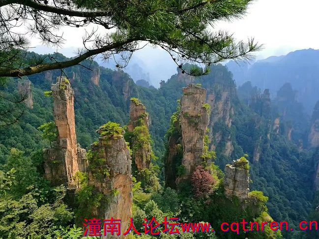 图片44.jpg