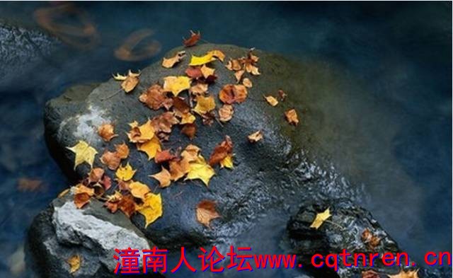 33ce0969dcceabe6e42350df6e575f78.jpg