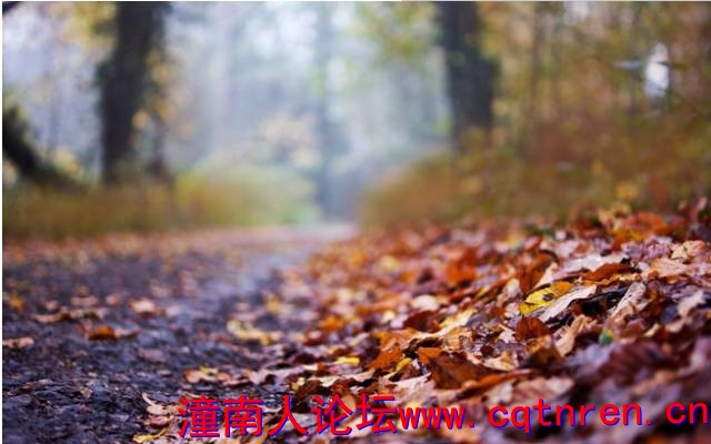 a84a6587a1a7b2efdcfe2e5ae6da21e9.jpg