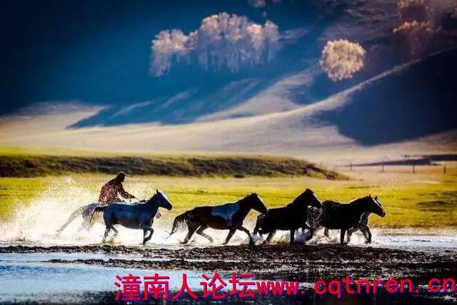 351c83fc161ea2a6fe3eb4c89651a52e.jpg
