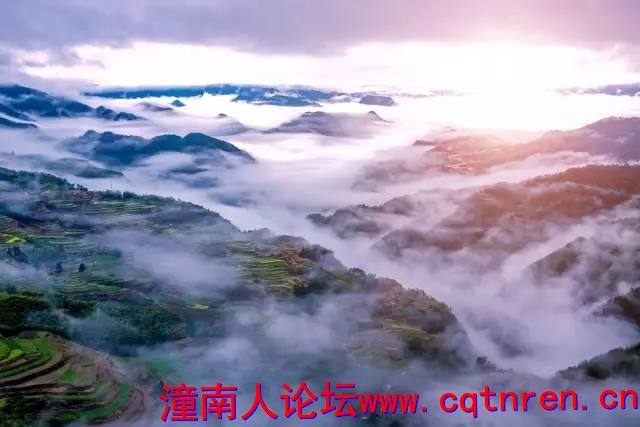 ca4b468cae75ce646bf3359e6c990492.jpg