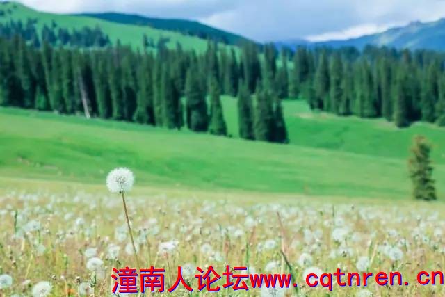 5b9510dacbb4d99baf1d2014eec749ed.jpg