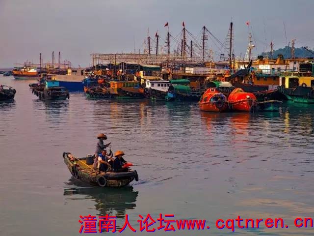 dbe29c752b644985f33bafeb7a4172e0.jpg